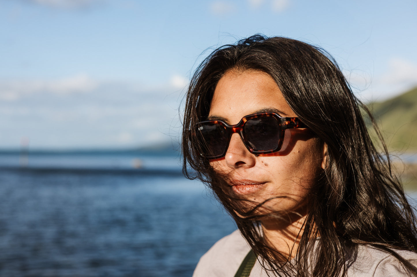 Blue Skye - Tortoise